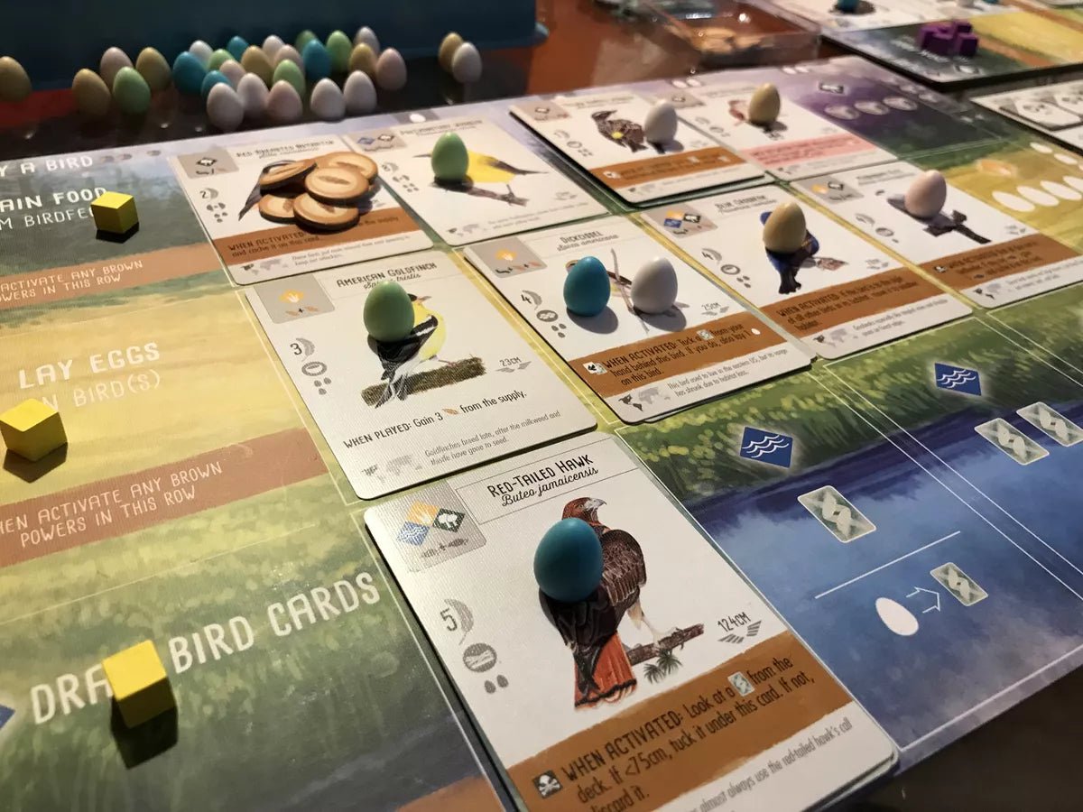 Wingspan Core + Wingspan Broken Token Organizer (GL - The Outlet) - Gaming Library
